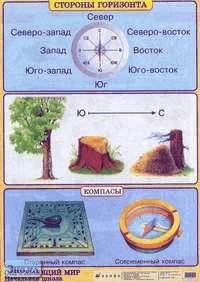 Плешаков А.А, Яременко Е.А. Стороны горизонта. ф.70*100 / Плешаков А.А, Яременко Е.А. Многообразие животных. ф.70*100. - Начальная школа. - М.: Дрофа, 2005. - Глянцевая двухсторонняя карта.