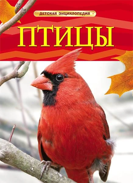 Догерти Дж. Птицы / Пер. с англ. Н.С. Ляпковой. Для детей до трех лет. - М.: Росмэн, 2018. - 48 с. - (Детская энциклопедия). - тверд. обл.