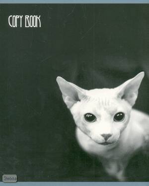 Тетрадь 48 л. ф.203*170 мм, клетка, белизна 92 %, поля, скоба, цветная карт. обложка, "Opla"