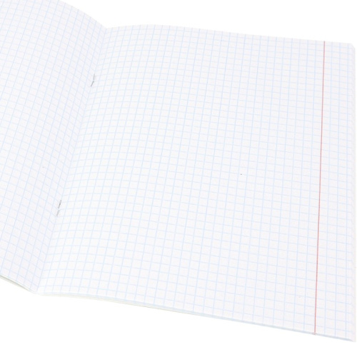 Тетрадь 48 л. ф.164*202 мм, клетка, белизна 90 %, поля, скоба, цветная мелованная обложка, "Проф-Пресс" фото 2