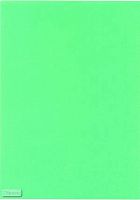 Самоклеящаяся зеленая этикетка ф.А4, 80 г, упак. 25 листов, "MEGA"
