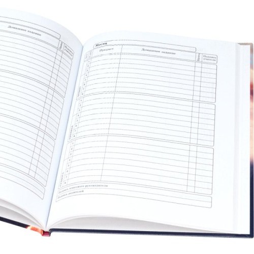 Дневник универсальный, 8 уроков, блок 65 г. - Проф-Пресс. - 40 л. - тверд. обл. фото 2