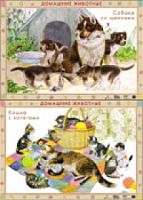 Домашние животные. Собака со щенками/ Кошка с котятами. Дрофа. Двухсторонняя карта