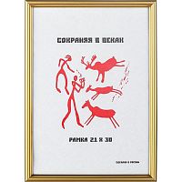 Рамка настенная 590, золотистый багет 14 мм, пластик, стекло, 210*300 мм (А4), "Монолит"