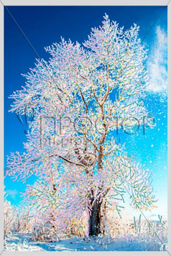 Схема для вышивания бисером "Зимнее кружево", 340*510 мм