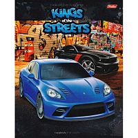 Тетрадь 48 л. ф.164*205 мм, клетка, белизна 100%, поля, скоба, цветная мелованная обложка,"Хатбер"