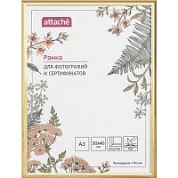 Рамка настенная, багет золотистый пластик 14 мм, вставка - пластик, 300*400 мм (А3), "Attache"