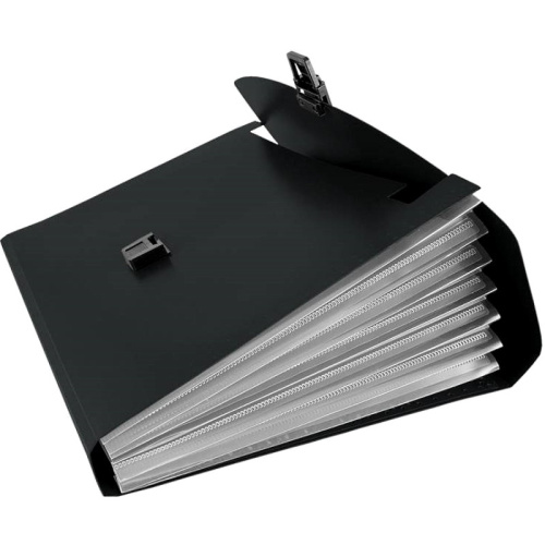 Портфель-картотека ф.А4 (340*230 мм), 12 отделения, торец 40 мм, пластиковый замок, пластиковая ручка, пластик 0,7 мм, "Бюрократ"