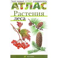 Козлова Т.А, Сивоглазов В.И. Растения леса. - М.: Дрофа, 2007. - 64 с. - (Твой первый атлас-определитель). - тверд. обл.