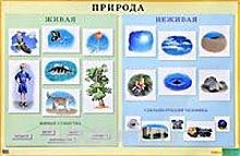 Природа живая и неживая. - ф.90*60. - Дошкольное образовательное учреждение. - М.: Айрис-пресс, 2004. - Глянцевая односторонняя карта.