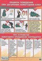 Латчук В.Н, Миронов С.К. Правила поведения при загорании новогодней елки. ф.70*100. - М.: Дрофа, 2005. - Глянцевая односторонняя карта.