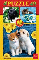 Картонные пазлы. 49 карточек. 3 картинки в 1 коробке. - ф. А5 190*190 мм. - "Hatber"