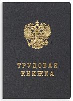 Трудовая книжка ТК-IV, серая картонная обложка, 43 с, 87*125 мм, "МПФ ГОзнак"