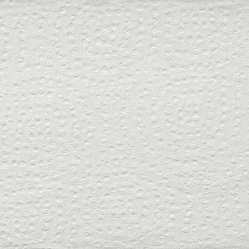 Полотенце бумажное 2-х слойное, 190 листов, 210*230 мм, 44 м, белое, Z складка, для держателя, упак. 20 шт, "Luscan Professional" фото 2