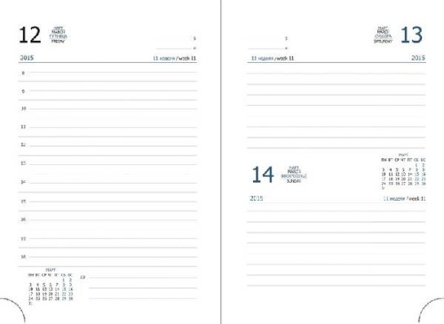 Ежедневник "Вива" ф.А5 (150*217 мм), датированный 2015 г, ляссе, обложка из искусственной кожи, 344 с, "Attache", уцененный фото 3