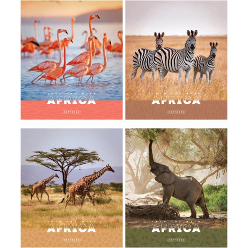 Тетрадь 96 л. ф.162*203 мм, клетка, белизна 80%, поля, скрепка, цветная обложка, "ArtSpace"