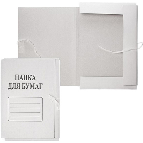 Папка для бумаг ф.А4 (210*305 мм), торец 20 мм, 2 завязки, картон 0,95 мм, 450 г, "БланкИздат"