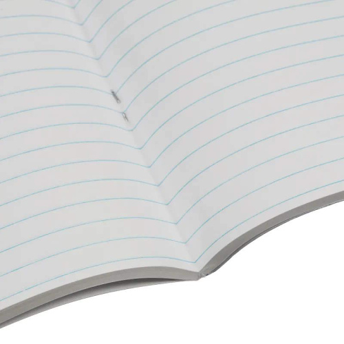Тетрадь 96 л. ф.А4 (190*265 мм), линия, скоба, бумвинил. обл, "Союзбланкиздат" фото 2