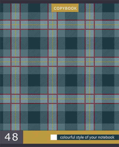 Тетрадь 48 л. 164*202 мм, клетка, поля, белизна 90%, скоба, цветная мелованная обложка "под лен", "Проф-Пресс" фото 2