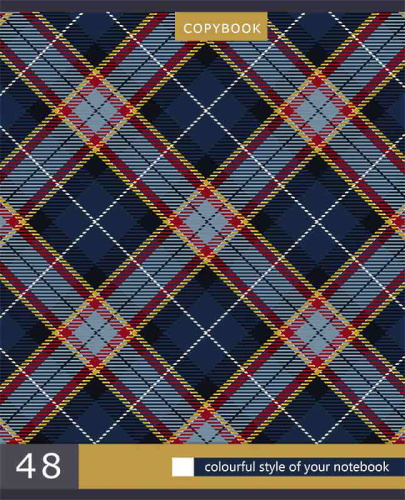 Тетрадь 48 л. 164*202 мм, клетка, поля, белизна 90%, скоба, цветная мелованная обложка "под лен", "Проф-Пресс" фото 5