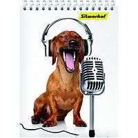 Блокнот 40 л. ф.А6 (105*145 мм), клетка, металлический гребень сверху, обложка - картон, "Silwerhof"