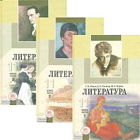 Ионин Г.Н, Роговер Е.С, Черняк М.А. Литература. 11 кл. Учебник: базовый и профильный уровни: Комплект в 3-х частях / Ред. Г.Н. Ионина, Г.И. Беленького. - М.: Мнемозина, 2011. - 496 с. + 446 с. + 432 с. - тверд. обл.