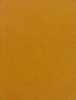Ежедневник Глосс ф.А5 (145*202 мм), недатированный, ляссе, кожзам, 160 с, "Проф-Пресс"
