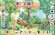 Федотова М.В, Жиренкина А.В. Фрукты / Федотова М.В, Жиренкина А.В. Что растет в моем саду. - М.: Карапуз. - 90*58 см. - Глянцевый двухсторонний плакат.