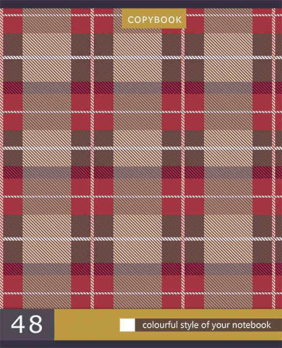 Тетрадь 48 л. 164*202 мм, клетка, поля, белизна 90%, скоба, цветная мелованная обложка "под лен", "Проф-Пресс" фото 4