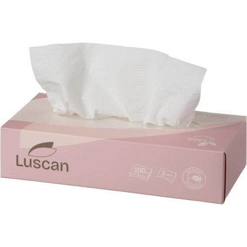 Салфетки бумажные двухслойные, белые, 200*200 мм, картонный диспенсер, упак. 100 шт, "Luscan" фото 3 Салфетки бумажные двухслойные, белые, 200*200 мм, картонный диспенсер, упак. 100 шт, "Luscan" фото 3