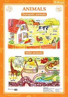 Рубина Е.В. Animals: Животные 3-4 кл. - ф.70*100 см. - М.: Дрофа, 2007. - Глянцевая односторонняя карта.