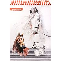 Блокнот для зарисовок "Sketchbook" 64 л. ф.А5 (140*200 мм), кремовый блок 100 г, спираль сверху, картонная обл, подложка, "Проф-Пресс"
