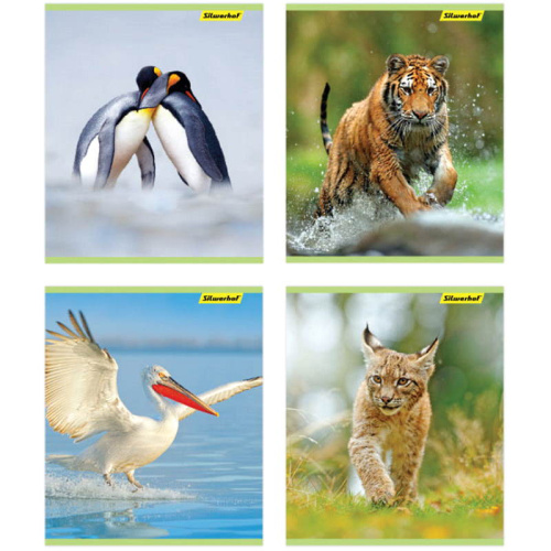 Тетрадь 48 л. 164*202 мм, клетка, белизна 96%, поля, скоба, цветная картонная обложка, "Silwerhof"