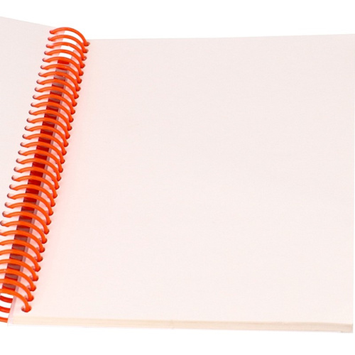 Блокнот для зарисовок "Sketchbook" 80 л. ф.А5 (143*203 мм), кремовый блок 80 г/м2, спираль сборку, тверд. обл, "Проф-Пресс" фото 2 Блокнот для зарисовок "Sketchbook" 80 л. ф.А5 (143*203 мм), кремовый блок 80 г/м2, спираль сборку, тверд. обл, "Проф-Пресс" фото 2