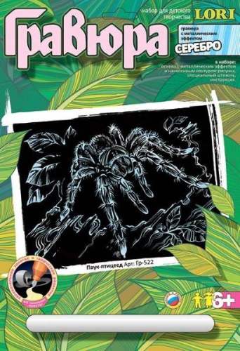 Паук-птицеед. Создание гравюры с серебро-металлическим эффектом. - ф.178*237 мм, для детей старше 6 лет.